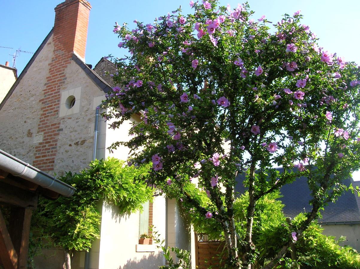 Le Petit Jardin Yoyo Monts Exterior photo